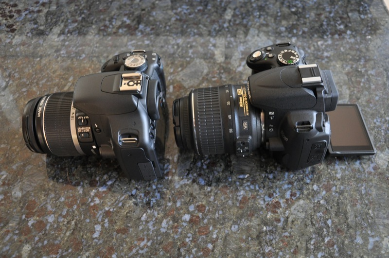 Illustration for article titled Canon Rebel T1i vs Nikon D5000: Entry-Level DSLR Battlemodo